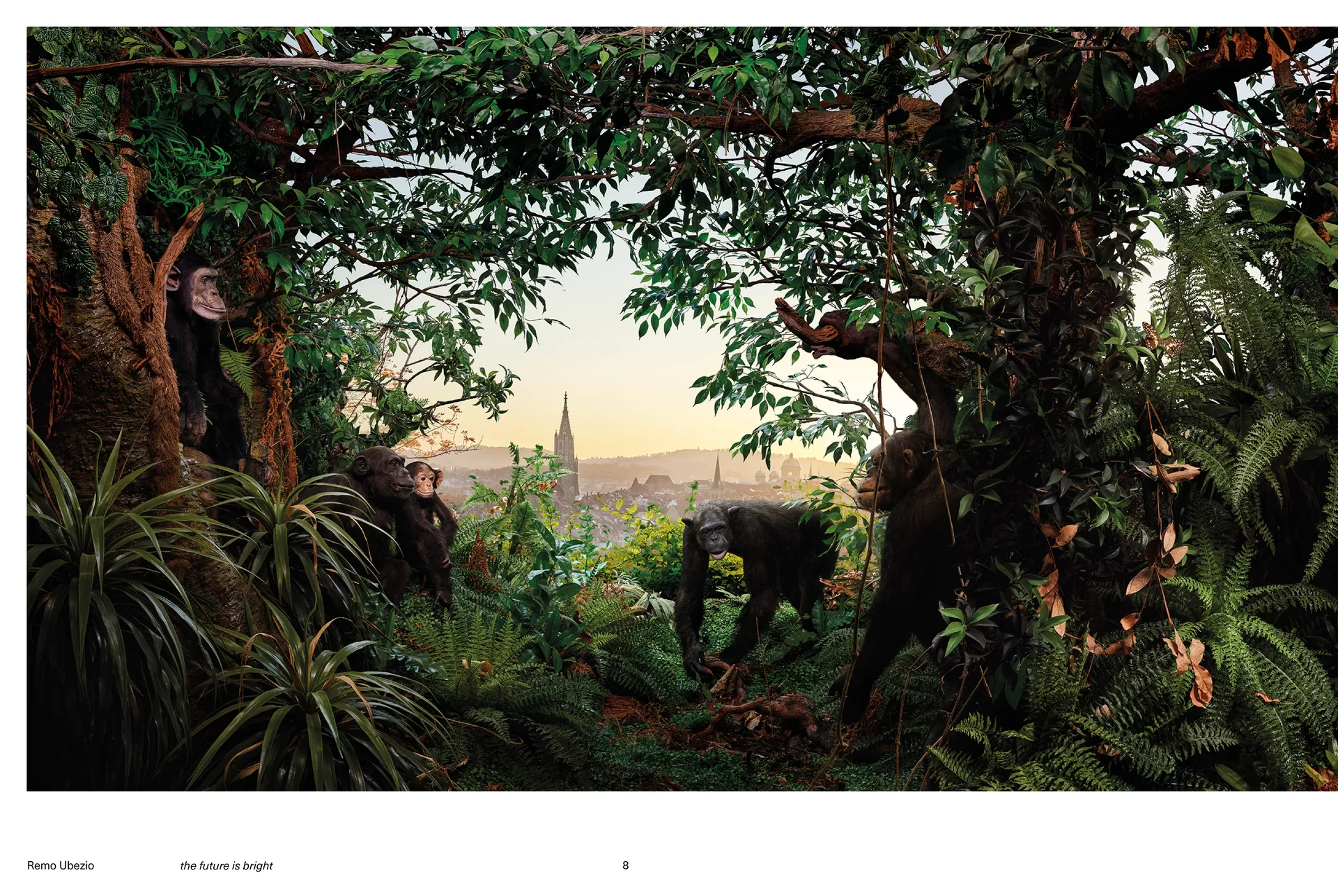 Bern Magazine Jungle Photography 