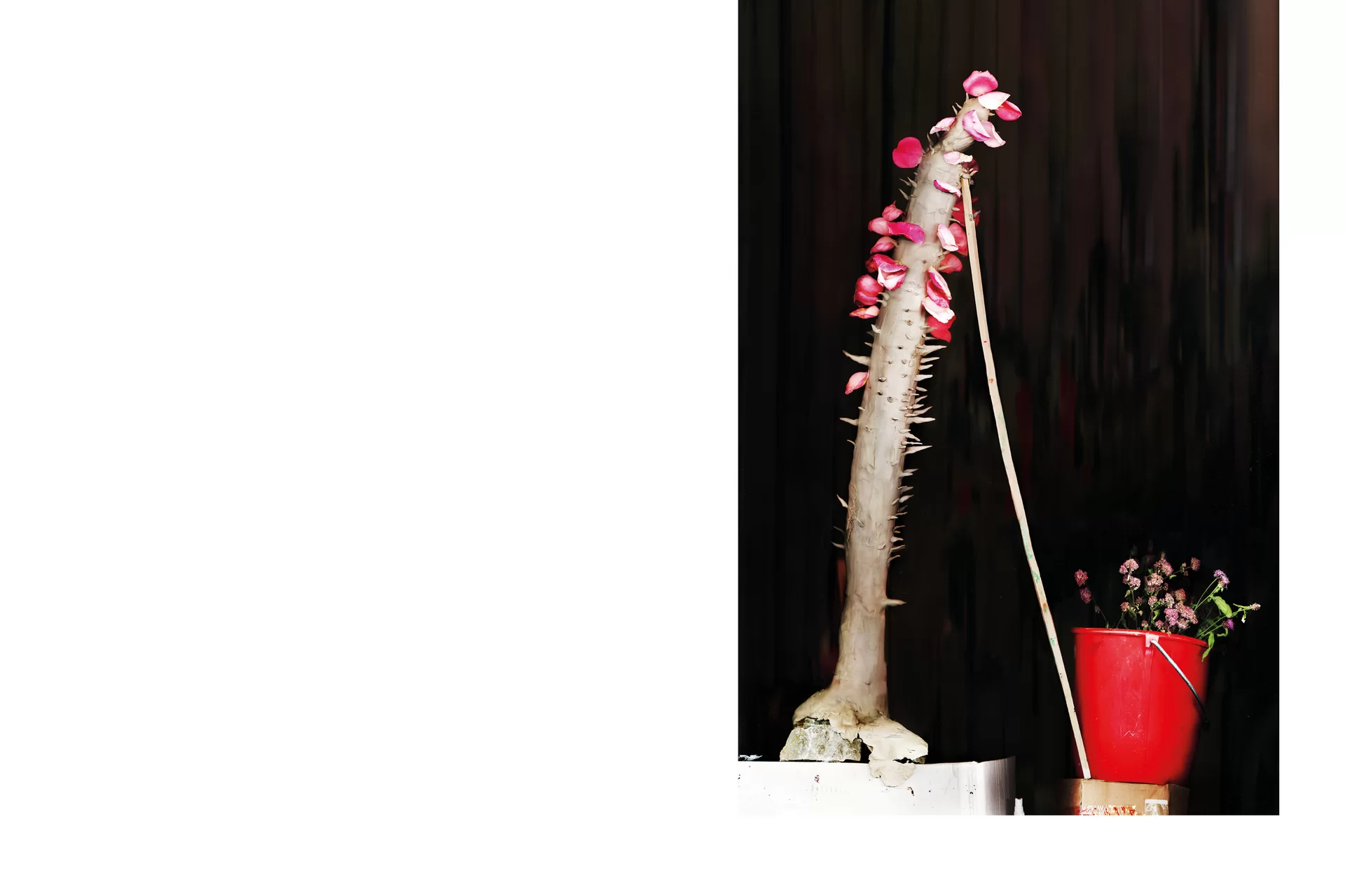 MJR Melanie JeanRichard Blühende Fantasie Mediterran Floristin Blumen Blumenwelt Angepasstes Branding Plakat Cover Print Swiss Grafikdesign Art Direction Creative Direction Fotografie Illustration Bunt Farbig Bildkomposition