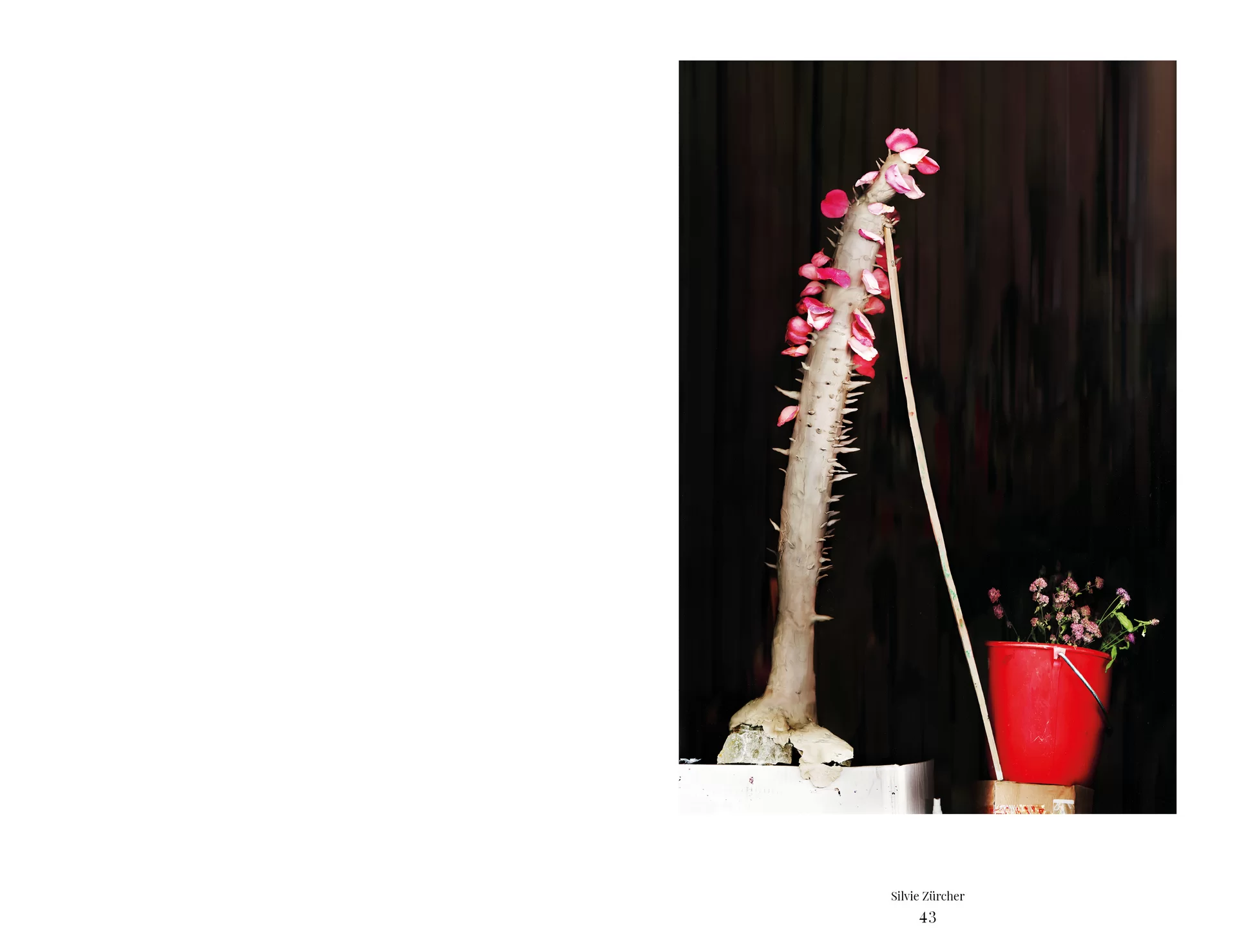 MJR Melanie JeanRichard Blühende Fantasie Mediterran Floristin Blumen Blumenwelt Angepasstes Branding Plakat Cover Print Swiss Grafikdesign Art Direction Creative Direction Fotografie Illustration Bunt Farbig Bildkomposition