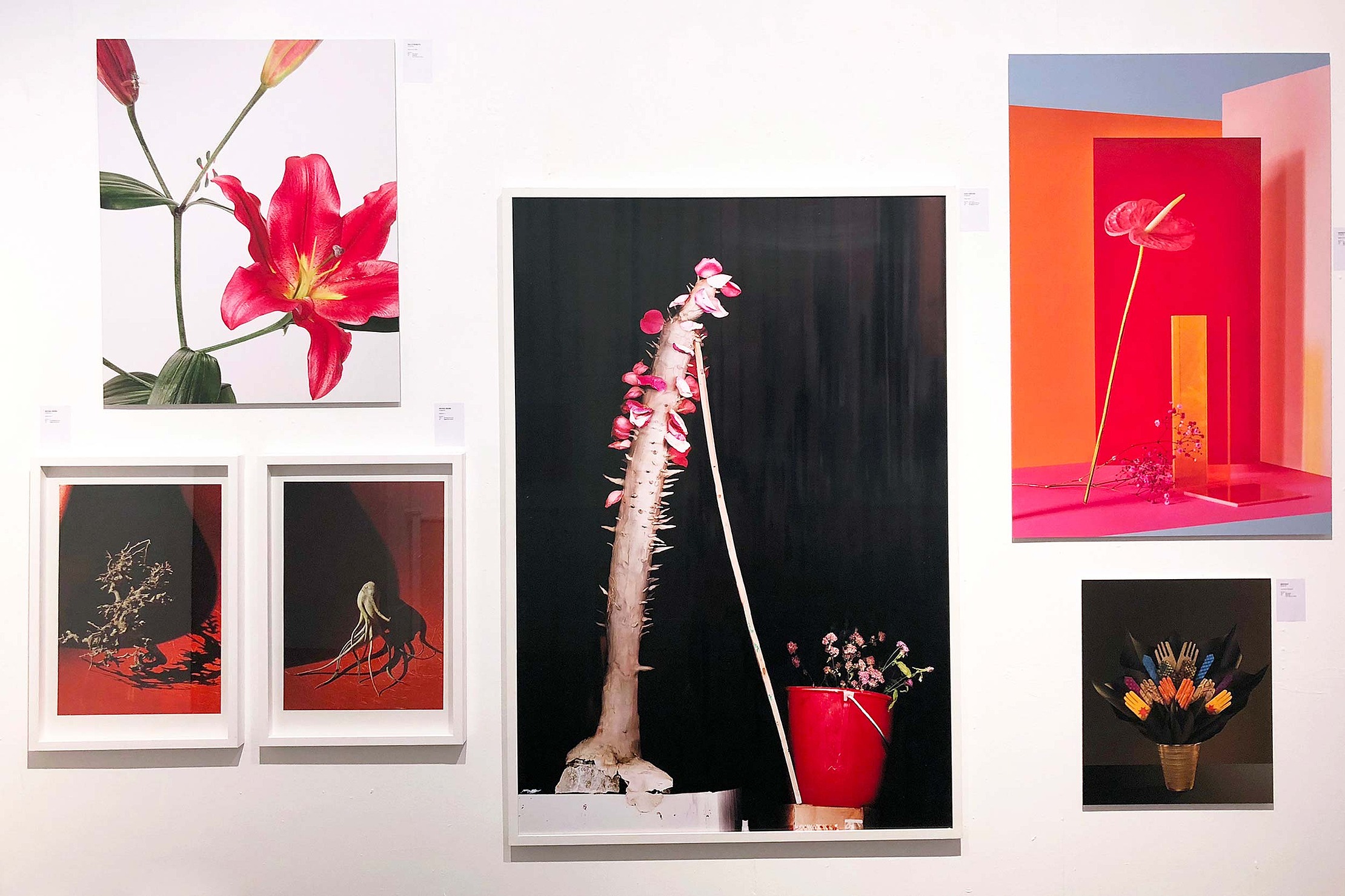 Melanie JeanRichard ausstellung bilder canvas blumen branding bern