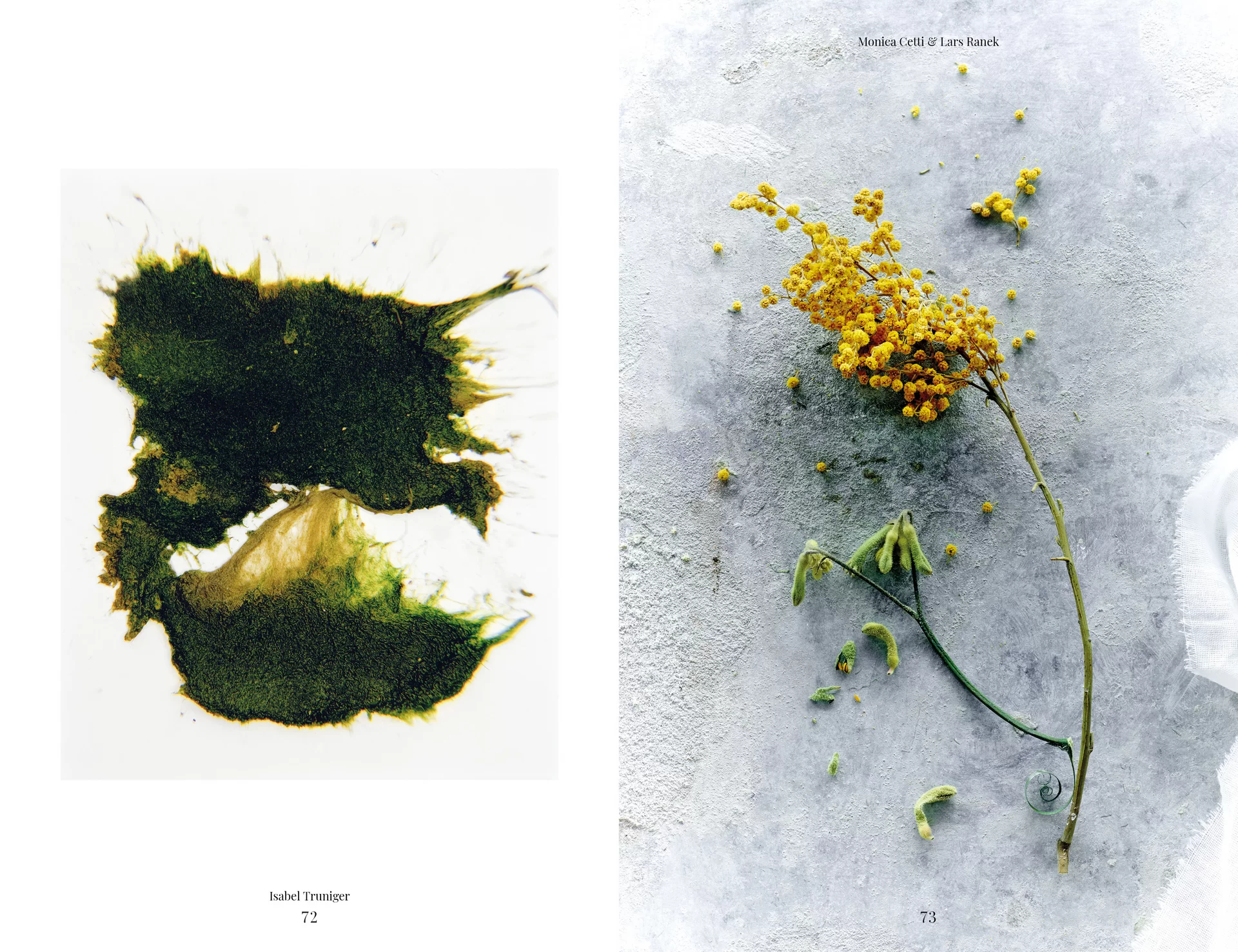 MJR Melanie JeanRichard Blühende Fantasie Mediterran Floristin Blumen Blumenwelt Angepasstes Branding Plakat Cover Print Swiss Grafikdesign Art Direction Creative Direction Fotografie Illustration Bunt Farbig Bildkomposition