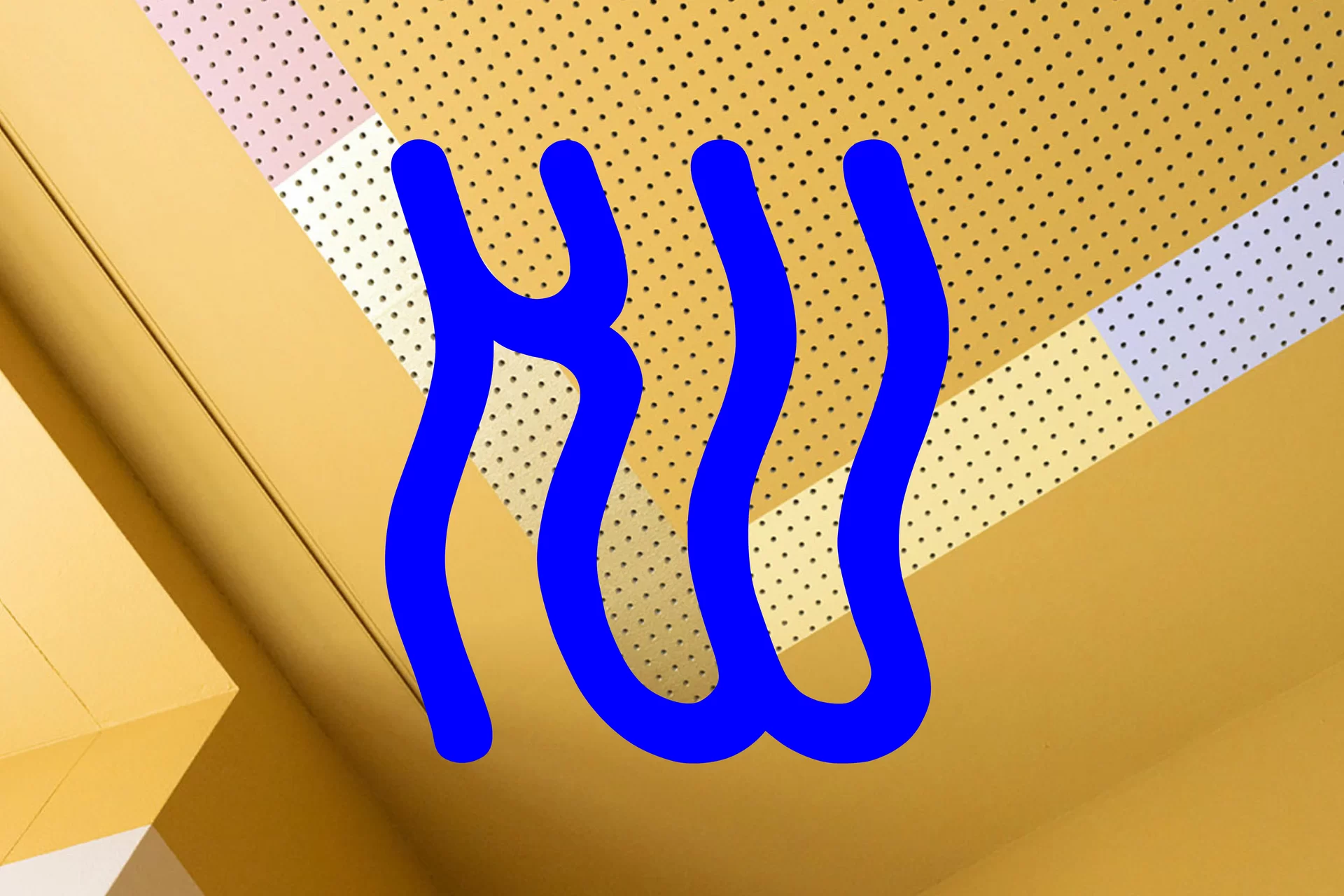 kathrin wiedmer branding
