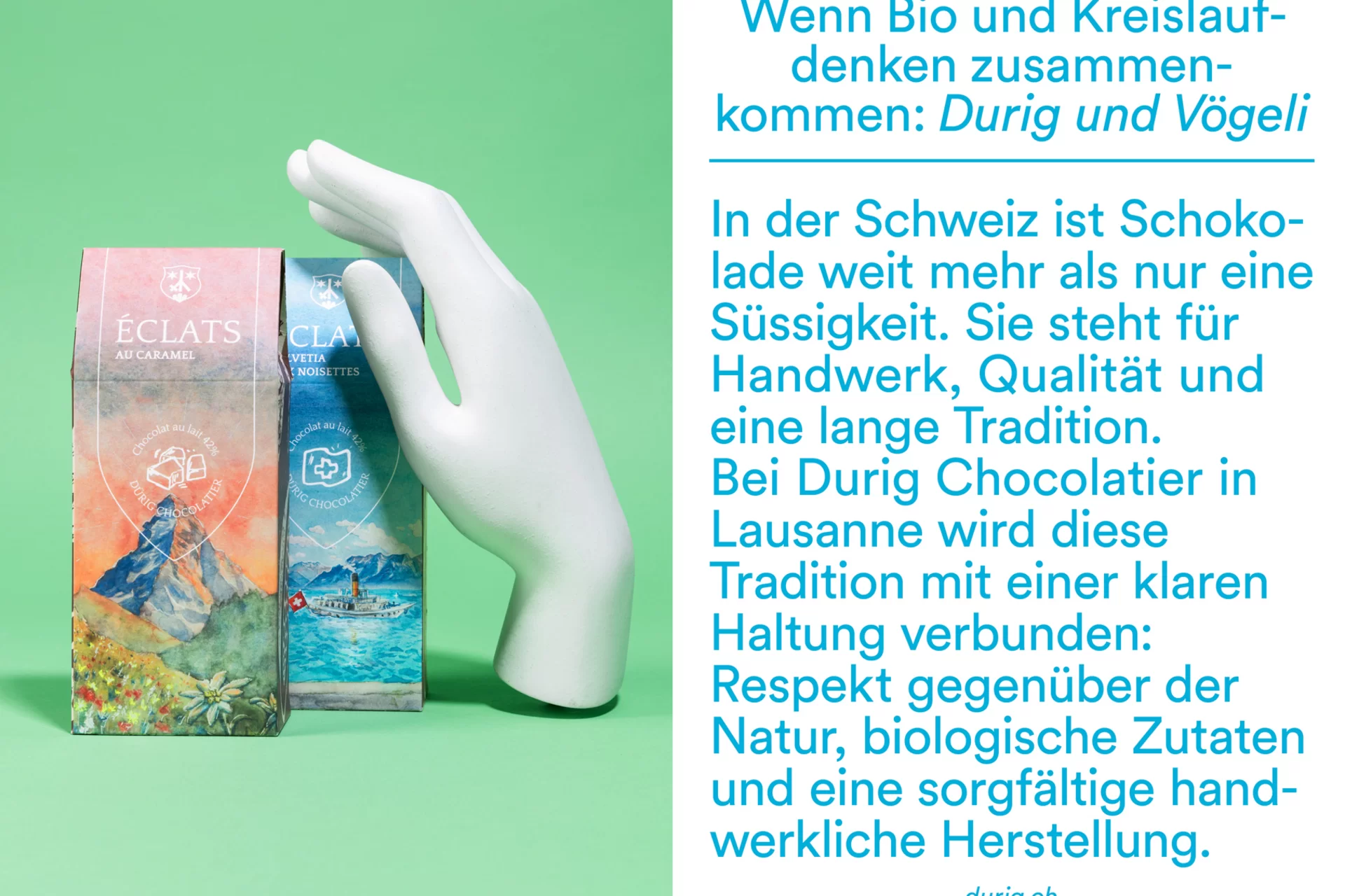 vögeli ag magazin