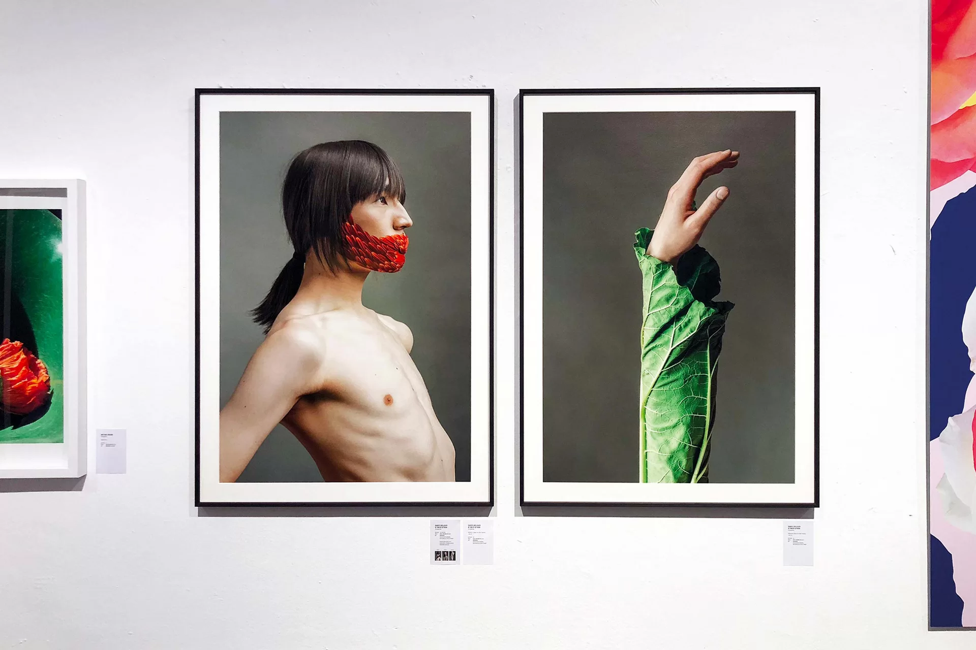 MJR Melanie JeanRichard Blühende Fantasie Mediterran Floristin Blumen Blumenwelt Angepasstes Branding Plakat Cover Print Swiss Grafikdesign Art Direction Creative Direction Fotografie Illustration Bunt Farbig Bildkomposition