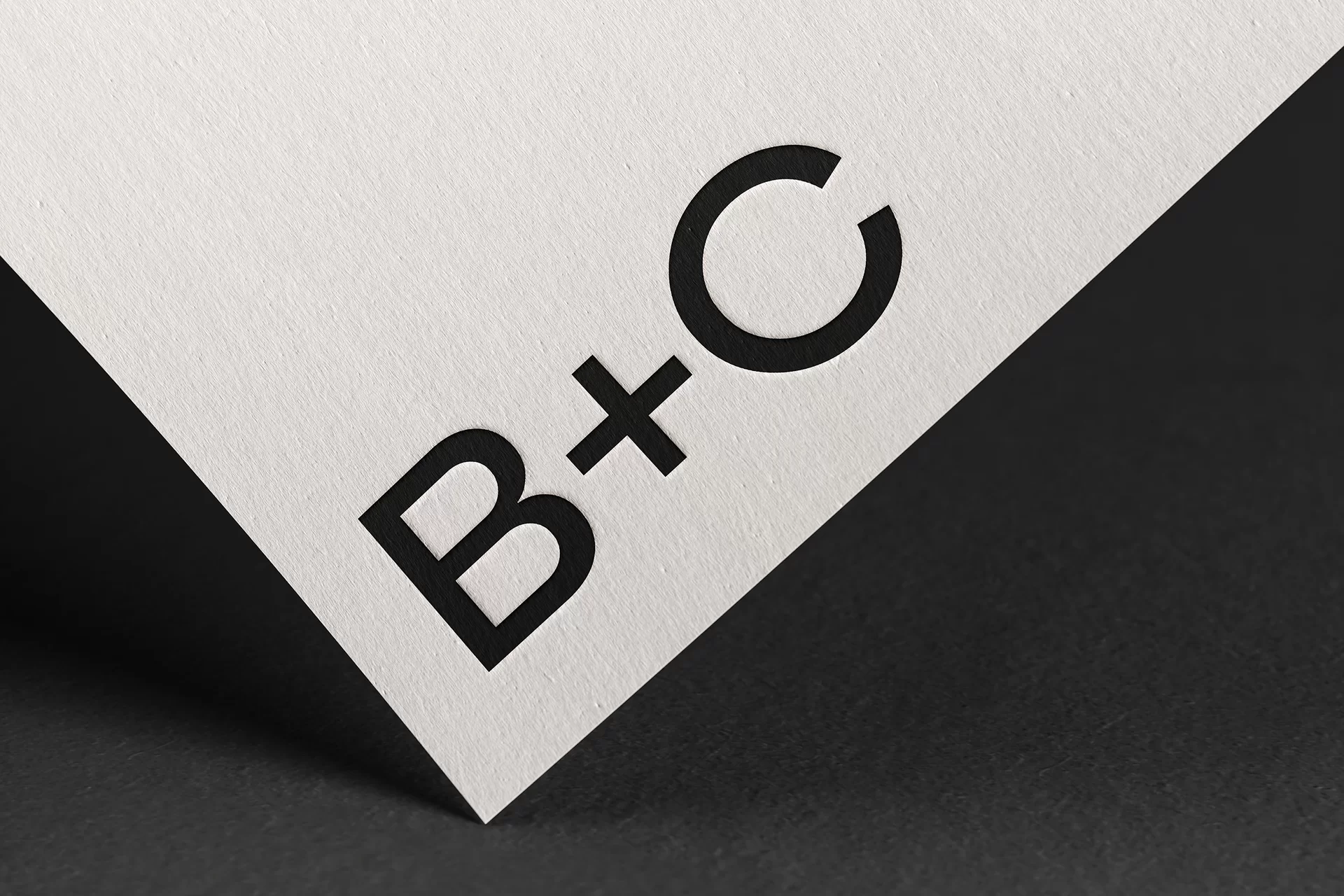 Bigler Immobilien Branding Webdesign