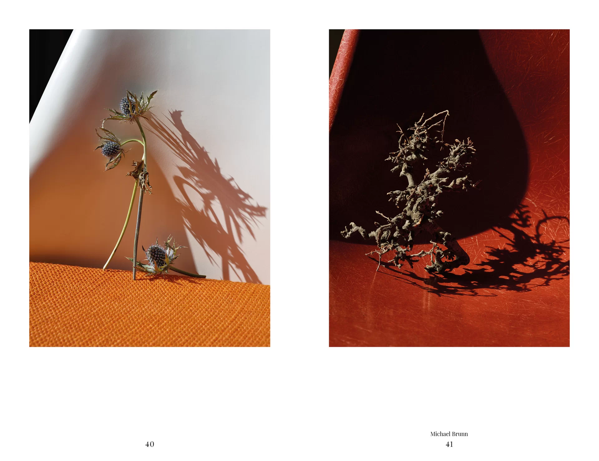 MJR Melanie JeanRichard Blühende Fantasie Mediterran Floristin Blumen Blumenwelt Angepasstes Branding Plakat Cover Print Swiss Grafikdesign Art Direction Creative Direction Fotografie Illustration Bunt Farbig Bildkomposition