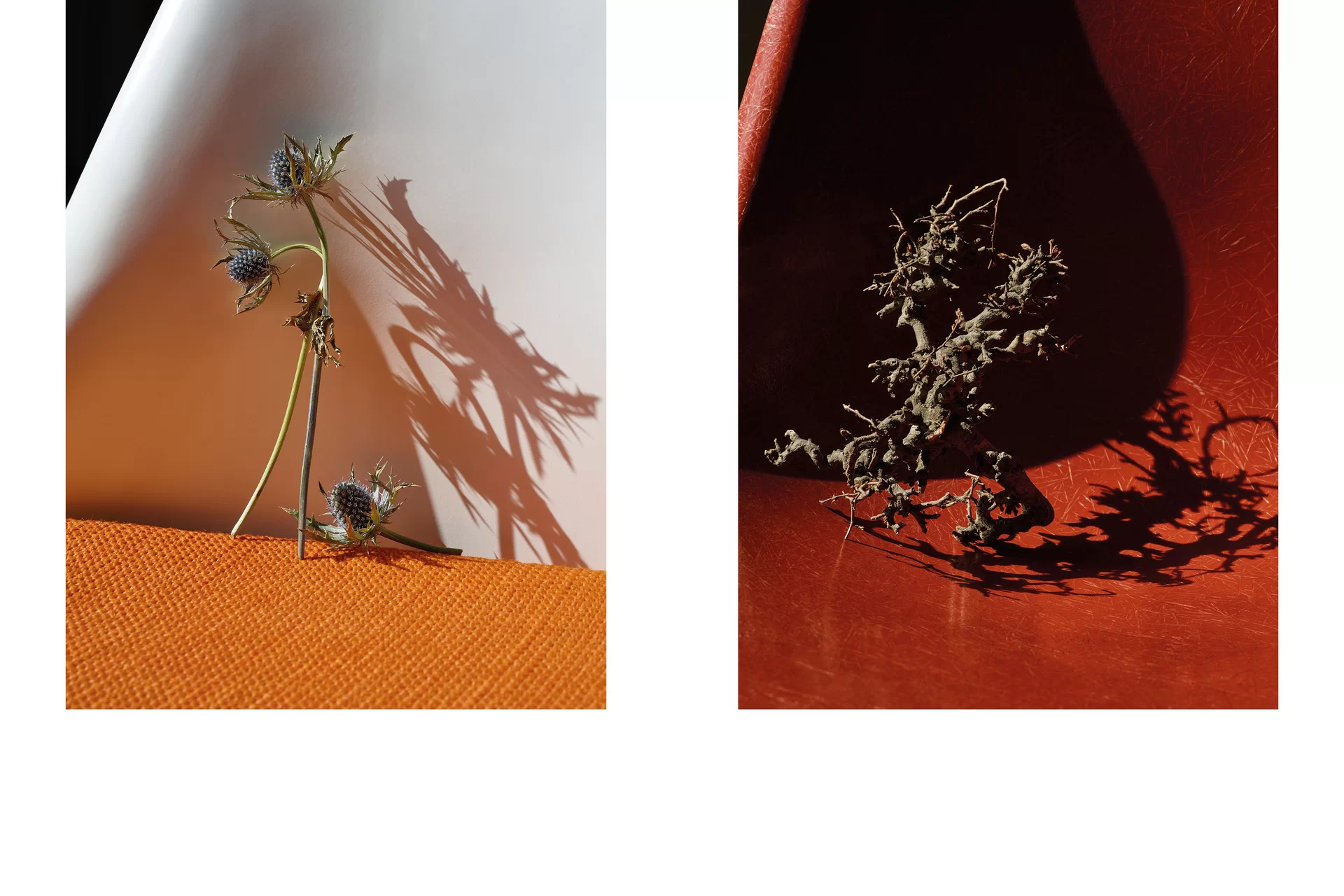 MJR Melanie JeanRichard Blühende Fantasie Mediterran Floristin Blumen Blumenwelt Angepasstes Branding Plakat Cover Print Swiss Grafikdesign Art Direction Creative Direction Fotografie Illustration Bunt Farbig Bildkomposition