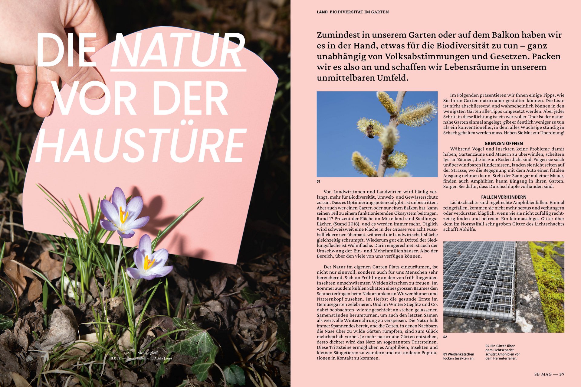 [Translate to English:] Die Schweizer Bauer Magazine Editorial Design