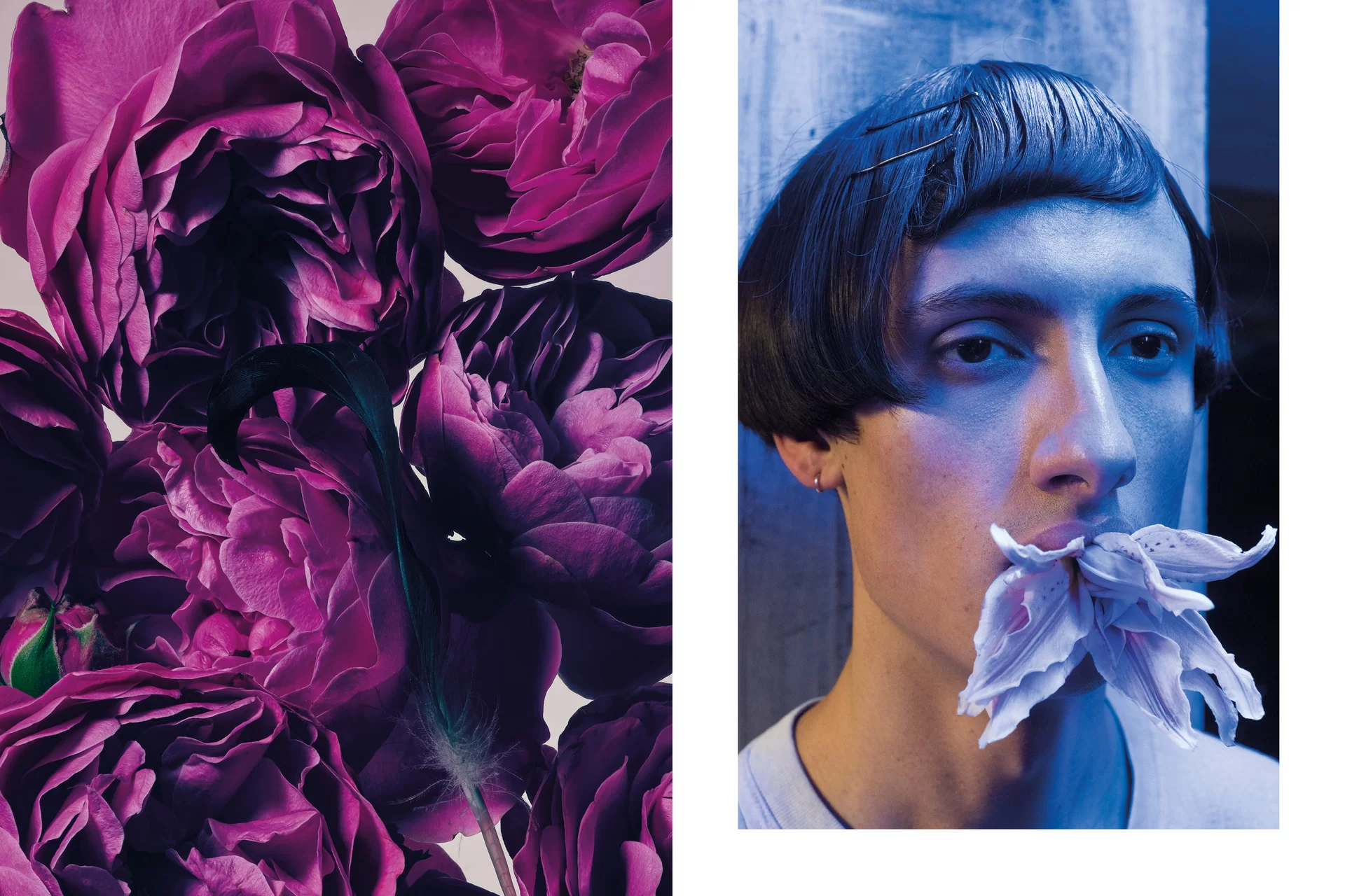 MJR Melanie JeanRichard Blühende Fantasie Mediterran Floristin Blumen Blumenwelt Angepasstes Branding Plakat Cover Print Swiss Grafikdesign Art Direction Creative Direction Fotografie Illustration Bunt Farbig Bildkomposition