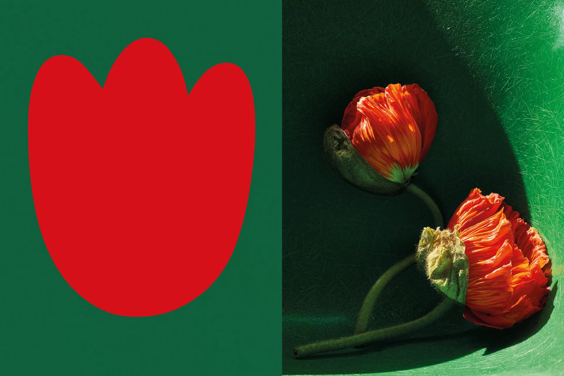 MJR Melanie JeanRichard Blühende Fantasie Mediterran Floristin Blumen Blumenwelt Angepasstes Branding Plakat Cover Print Swiss Grafikdesign Art Direction Creative Direction Fotografie Illustration Bunt Farbig Bildkomposition