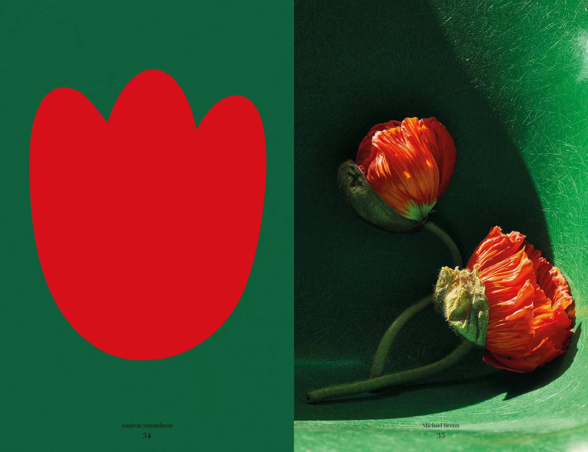 MJR Melanie JeanRichard Blühende Fantasie Mediterran Floristin Blumen Blumenwelt Angepasstes Branding Plakat Cover Print Swiss Grafikdesign Art Direction Creative Direction Fotografie Illustration Bunt Farbig Bildkomposition