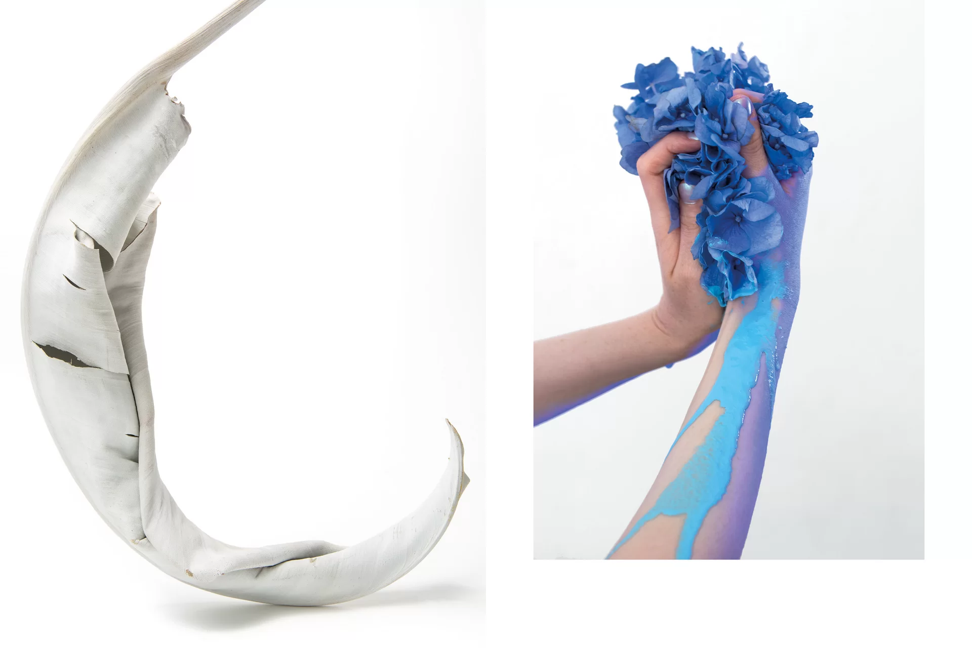 MJR Melanie JeanRichard Blühende Fantasie Mediterran Floristin Blumen Blumenwelt Angepasstes Branding Plakat Cover Print Swiss Grafikdesign Art Direction Creative Direction Fotografie Illustration Bunt Farbig Bildkomposition