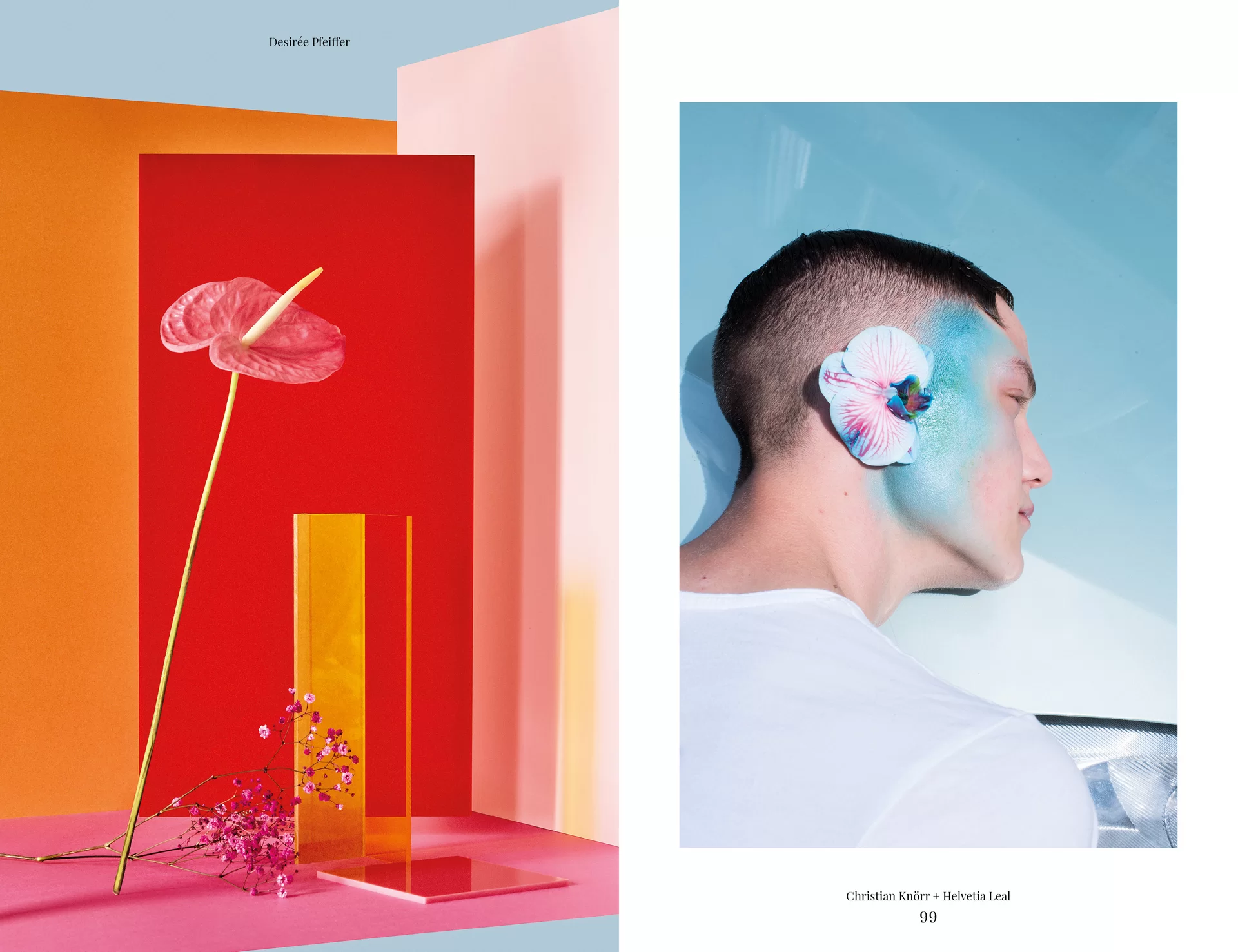 MJR Melanie JeanRichard Blühende Fantasie Mediterran Floristin Blumen Blumenwelt Angepasstes Branding Plakat Cover Print Swiss Grafikdesign Art Direction Creative Direction Fotografie Illustration Bunt Farbig Bildkomposition