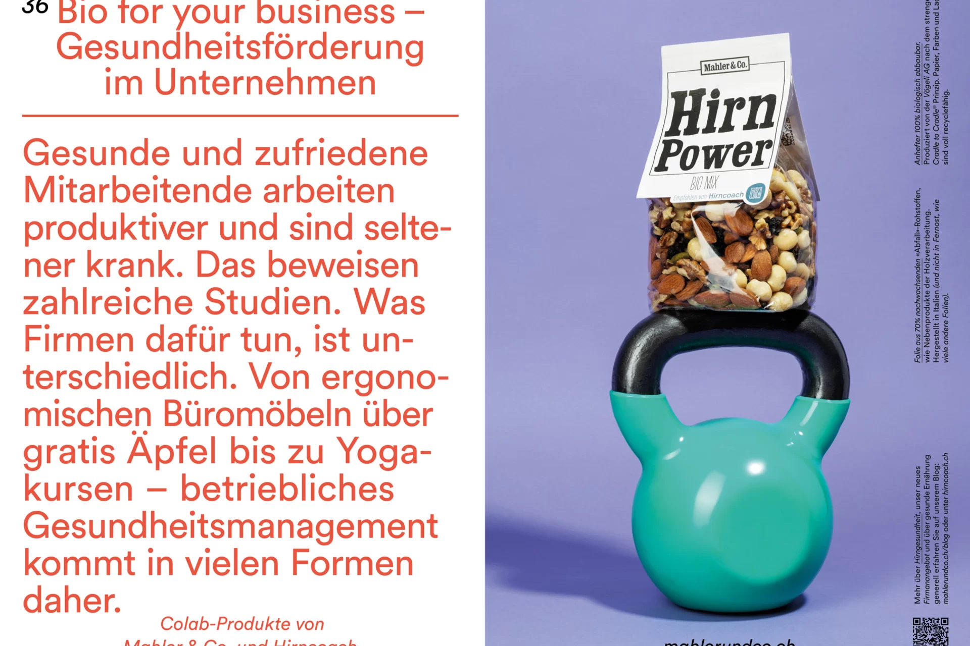 vögeli ag magazin
