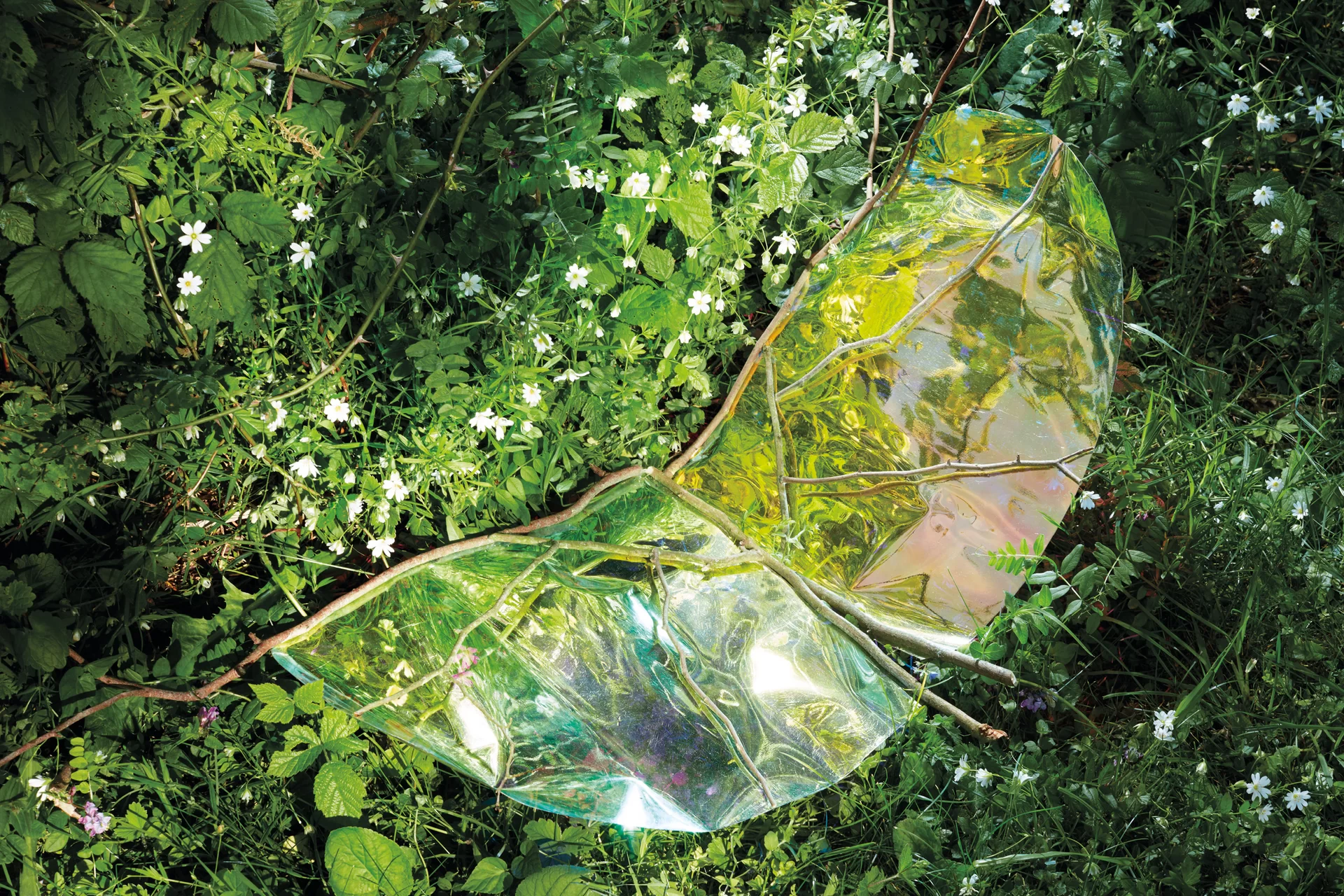 MJR Melanie JeanRichard Blühende Fantasie Mediterran Floristin Blumen Blumenwelt Angepasstes Branding Plakat Cover Print Swiss Grafikdesign Art Direction Creative Direction Fotografie Illustration Bunt Farbig Bildkomposition