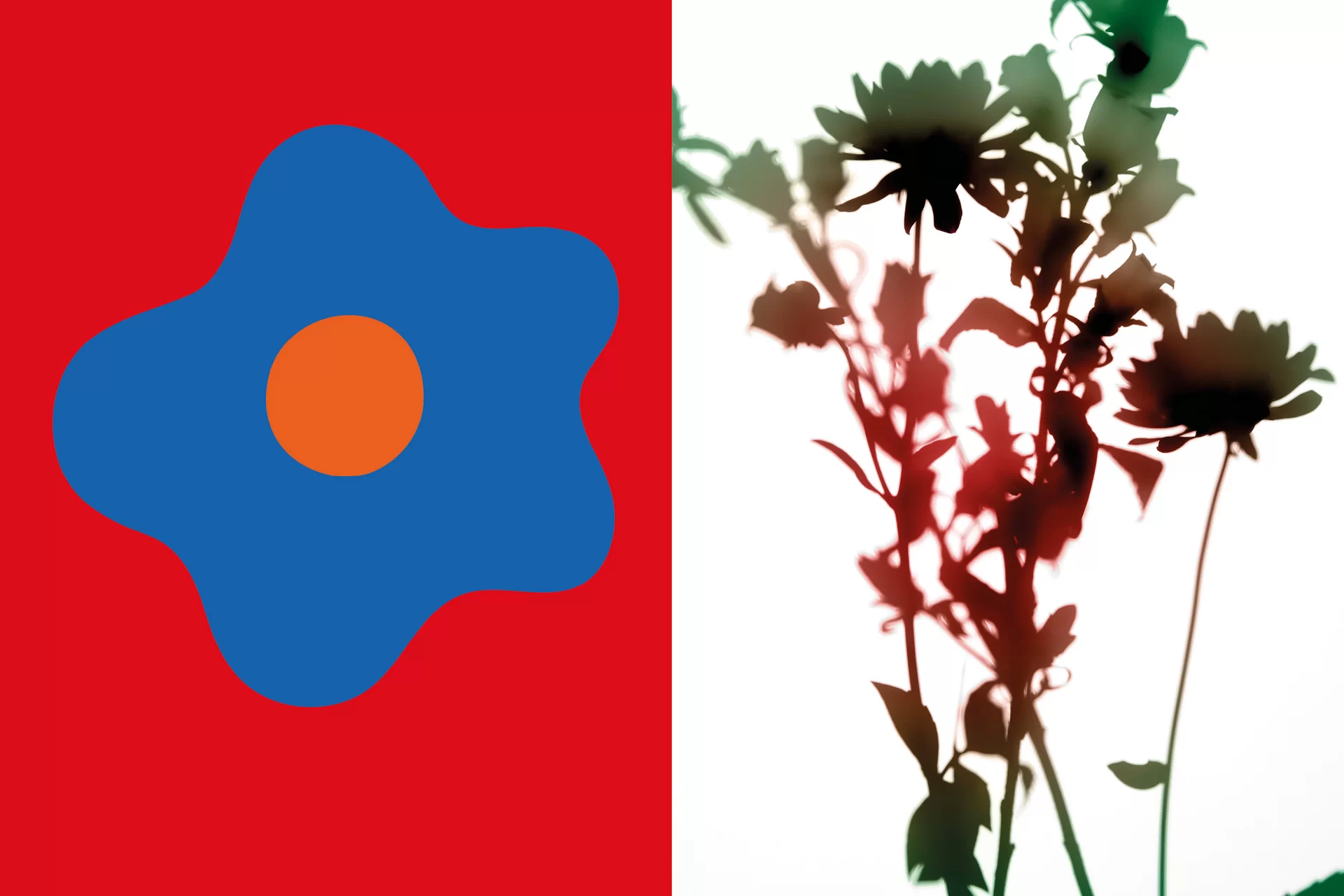 MJR Melanie JeanRichard Blühende Fantasie Mediterran Floristin Blumen Blumenwelt Angepasstes Branding Plakat Cover Print Swiss Grafikdesign Art Direction Creative Direction Fotografie Illustration Bunt Farbig Bildkomposition