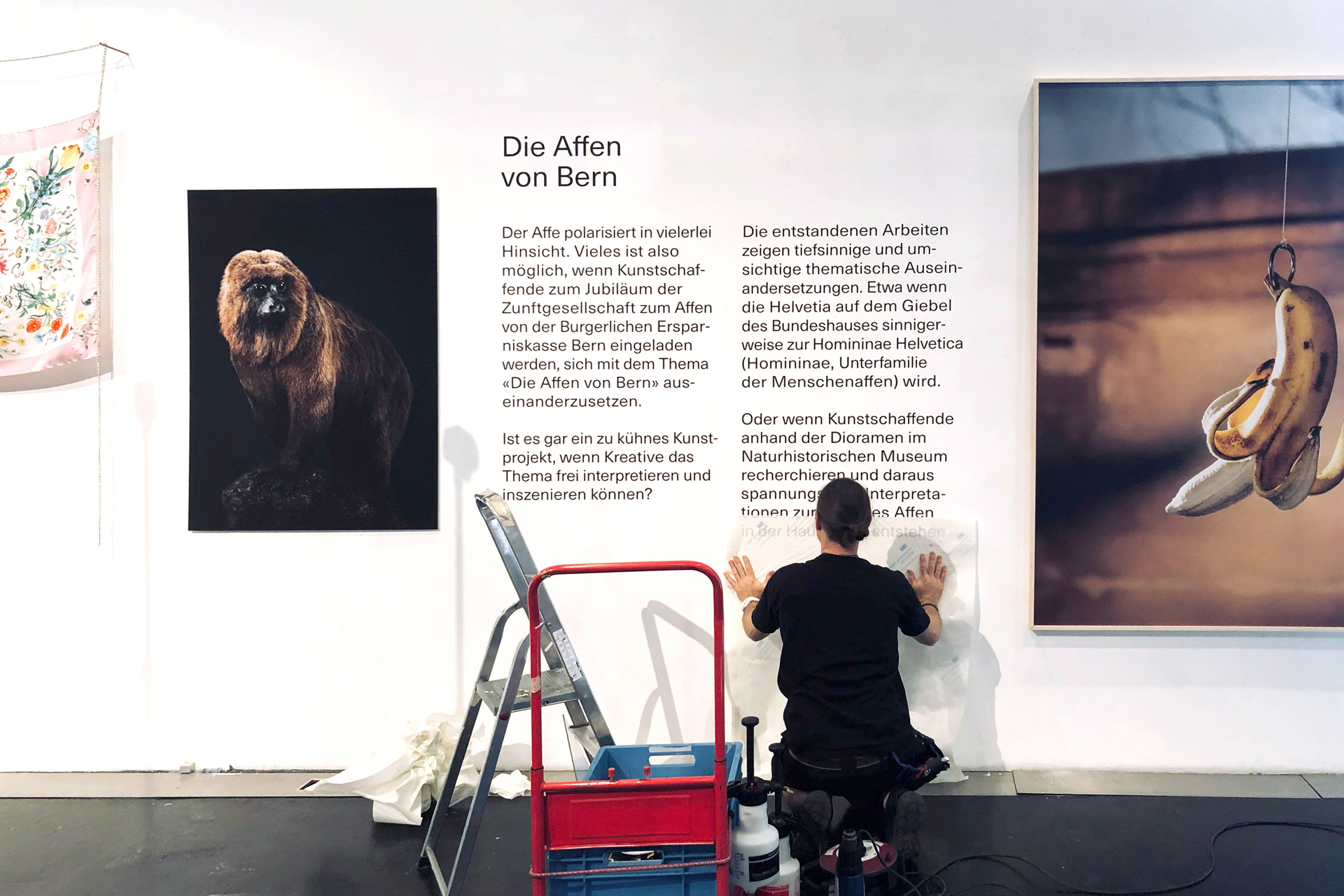 Bern Advertisement Monkey Exhibition Print Text Photography